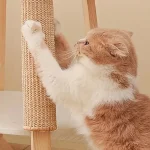 Natural Sisal Cat Scratcher Mat Cat Scratch Mats Horizontal (New)