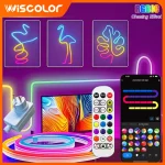 DIY Outdoor TUYA Wifi Led Lights Strip RGB LED (New)