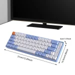 65 Keys Layout Gaming Keyboard Hot Swappable Wireless Ergonomic (New)