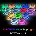 Tuya WiFi 220V RGB Led Neon Light 5m 10m (New)