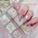 Nail Art Charms 1Box Natural Nail Art Irregular Shell (New)