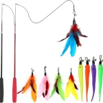 MeoHui Cat Toys for Indoor Cats Interactive Cat Toy 2PCS Retractable Wand Toy and 9PCS Cat Feather Toys Refills Funny Ki (New)