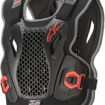 Alpinestars Bionic Action Chest Protector (New)