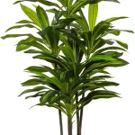 AzureLeap Dracaena Artificial Plant Indoor 4FT - Tall Faux Floor Plant in Pot - Large Tropical Fake Tree with Lifelike Lea (New)