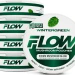 Flow Pouches Mushroom Nootropic Pouches 600mg Lion's Mane Reishi Cordyceps Energy Pouches for Focus and Clean Energy Caf (New)