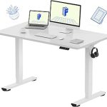 FLEXISPOT EN1 48"x24" One-Piece Standing Desk White 176 LBS Capacity Seamless Desktop Home Office 4 Memory Presets (New)