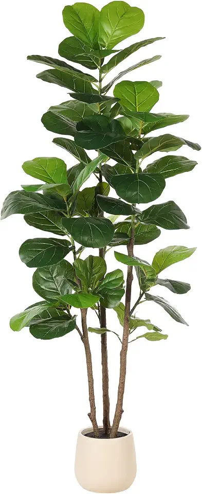 61xTOIcFxpL._AC_UL960_FMwebp_QL65_ Realead 6ft Fiddle Leaf Fig Tree Artificial with Tall Exquisite Planter Faux Fiddle Leaf Fig Tree Natural Trunk Lifeli (New) - Image 1