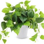 CEWOR Artificial Plants Fake Pothos with Plastic Pot Artificial Potted Plant for Home Office Bedroom Indoor Outdoor Decor (New)