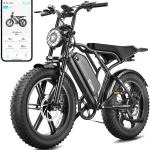 TST Electric Bike for Adults 48V 15/25 Ah Battery 60/100 Mile Range 20*4 Fat Tire Dual Suspension 7-speed Gears Pow (New)