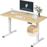 FlexiSpot E6 Bamboo 3-Stage Dual Motor Electric Standing Desk 55 x 28 Sit Stand Up Desk Holds 220 lbs Adjustable Height (New)