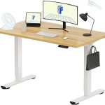 FLEXISPOT EN1 One-Piece Standing Desk Electric Adjustable with 4 Memory Presets 176 LBS Capacity Stable Quiet Seamle (New)