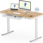 FLEXISPOT Comhar 48" Electric Standing Desk with Drawers USB Charging Ports Quick Assembly Height Adjustable Sit Stand (New)