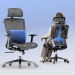 FLEXISPOT OC3 Ergonomic Chair with Dual FrontBack Lumbar Support MS Gray Office Chair with Built-in Mesh LumbarMovab (New)