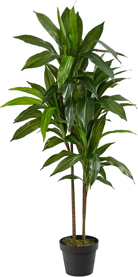 71ZVBahlftS._AC_UL960_FMwebp_QL65_ Nearly Natural 48 in Artificial Dracaena Real Touch Plant with Pot Multi-Tonal Trunks Large Indoor Silk Plant Maintena (New) - Image 1