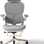 HINOMI Q2 Ergonomic Office Chair Adjustable Lumbar Support Gray Cushioned Seat 4D Headrest Flip-Up Armrests 2-Inch (New)