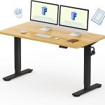 FLEXISPOT EN1 One-Piece Standing Desk Electric Adjustable with 4 Memory Presets 176 LBS Capacity Stable Quiet Seamle (New)