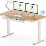 FLEXISPOT Comhar 55" Electric Standing Desk with Drawers USB Charging Ports Quick Assembly Height Adjustable Sit Stand (New)