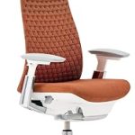 Haworth Fern Executive Office Chair w/ Digital Knit Lumbar Ember Home Office Computer Desk Chair with Seat Height Adj (New)