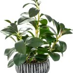 AlphaAcc Fake Plants Potted Artificial Succulents Home Office Decor Artificial plants with rustic black clay planter ide (New)