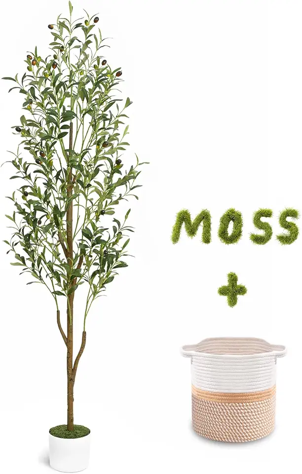 71gxuqPw5hL._AC_UL960_FMwebp_QL65_ Waipfaru 6FT Artificial Olive Tree Indoor Tall Faux with Planter & Basket Large Fake Olive Silk Trees Realistic Olive Pl (New) - Image 1