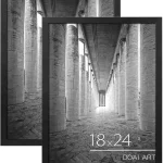 DOAI ART 18x24 Poster Frame 2 Pack Black 18 x 24 Picture Frames 18x24 Frame for Horizontal or Vertical Wall Mounting S (New)