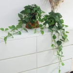 alyptus Fake Pothos Hanging Plants   33&quot Set of 2 Faux Ivy Vines with Pots Realistic Silk Devilâ€™s Ivy for Indoor DÃ©cor Low (New)