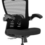 FLEXISPOT OC3-Pro Cloud Ergonomic Office Chair for Big and Tall Black High Back Office Chair with Flip-up Arm/8-Level Lum (New)