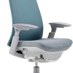 Haworth Fern Ergonomic Office Chair w/ Breathable Mesh Lumbar Cornflower Home Office Computer Desk Chair with Seat Hei (New)