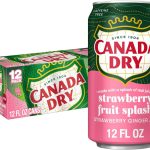Canada Dry Fruit Splash Strawberry Ginger Ale Soda 12 Oz Cans 12 Count (New)