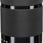 SONY E 55-210mm F4.5-6.3 Lens for SONY E-Mount Cameras Black Renewed (New)