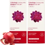 FOODOLOGY Coleology Cutting Jelly Pomegranate Flavor 20 Sticks Dietary Fiber Supplement for Weight Loss Management No (New)