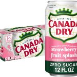 Canada Dry Zero Sugar Strawberry Ginger Ale Soda 12 Oz Cans 12 Count (New)
