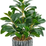 Der Rose 157&quot Small Artificial Plant Indoor for Shelf Desk Entryways Decor Fake plants with round layered leaves and a (New)