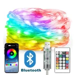 WS2812B LED Light String Smart Bluetooth Remote Control RGBIC Waterproof USB Fairy Lamp (New)