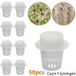 50 Plant Net Cup & 50 Cylinders Sponge For Hydroponics Aquaponics Orchids Plant (New)