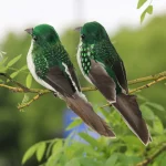 1 Artificial Feather Bird Garden Floral Decoration Bird Foam Feather Products Fake Sparrow (New)