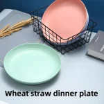 5  Nordic Wheat Straw Plate Fruit Plate Vegetable Plate Plastic Bone Spitting (New)
