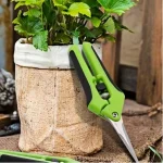 6.5 Inch Gardening Scissors Hand Pruner Pruning Shears Trimming Scissors with Straight Elbow (New)