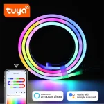 DC 12 24V Tuya RGBIC LED Neon Strip WiFi APP Control 1 10M RGBIC Lamp (New)