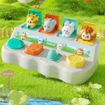 Montessori Pop up Animal Toys and Learning Boxes   Enhance Logic and Motor (New)