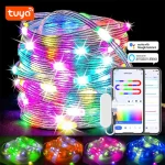 TUYA Fairy String Lights RGBIC Color Changing 10m 100 LED Fairy Light Indoor (New)