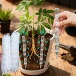 10 20 Drainage Pipes To Prevent Root Rot and Improve Drainage, Suitable for Indoor (New)