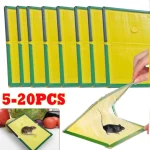 1 20 Mouse Board Sticky Rat Glue Mouse Adhesive Glue Board Mice Catcher Trap (New)