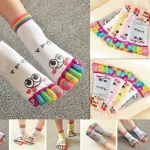 Cute Casual Five toed Crew Finger Show Funny Short Cartoon Cotton Smiley Bear Socks (New)