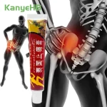 1 Pain Relief Cream Chinese Herbal Medical Plaster For Rheumatoid Arthritis Knee Joint (New)