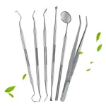 Stainless Steel Dentist Oral Tools Cleaning Flossing Tartar Removal Easy to Clean Not (New)