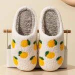 Cute Fruit Women Slippers Winter Indoor Warm Soft Sole Breathable Comfort Anti slip Bedroom (New)