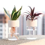 Mini Hydroponic Flower Pot Home Vase Decor Transparent Imitation Glass Soilless Plant Pots (New)