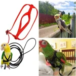 Anti Bite Parrot Harness Leash Training Rope Bird Flying Leash for Pet Birds Durable (New)