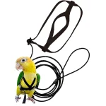 Parrot Bird Harness Leash Outdoor Activities Flying Traction Straps Band Flying Rope For (New)